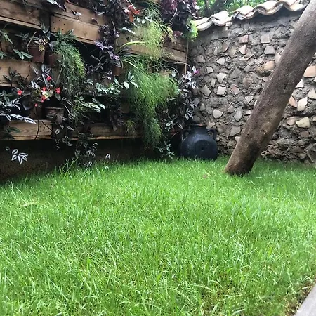 Merkez Kaleici Muhtesem Size Oezel Bahceli Oezel Villa