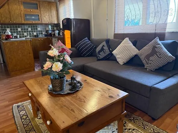 Villa Merkez Kaleici Muhtesem Size Oezel Bahceli Oezel Antalya